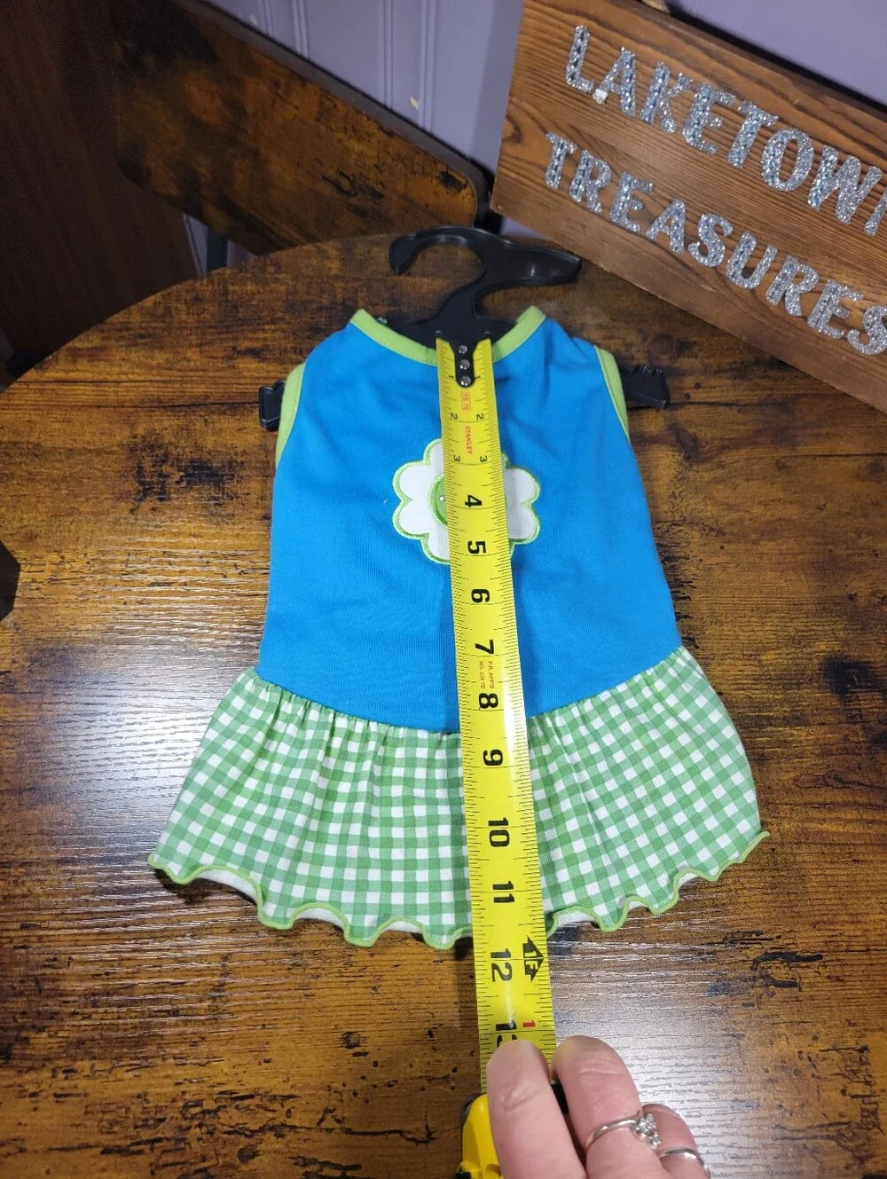 Eastside Collection sizr small Blue & Green Flower Appliqué dog Dress